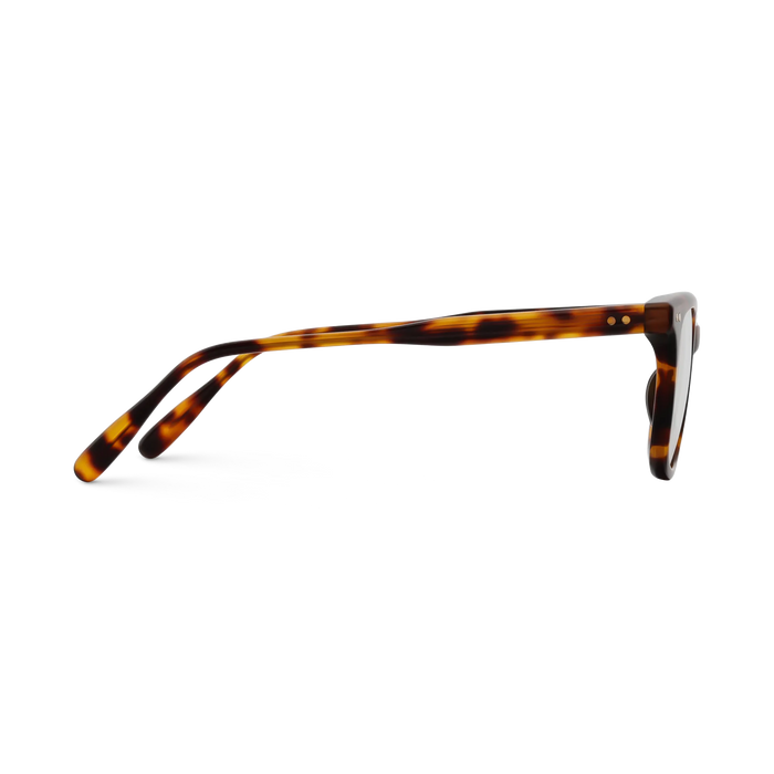 Eydology Frankie Amber Tortoise Square Men's Glasses 4