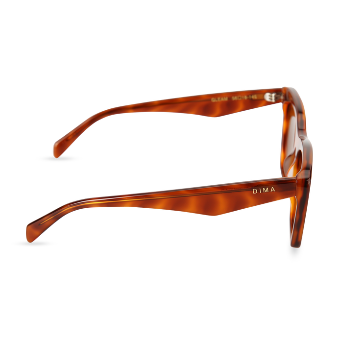 Eydology Gleam Amber Tortoise Frame Brown Lens Sunglasses 3