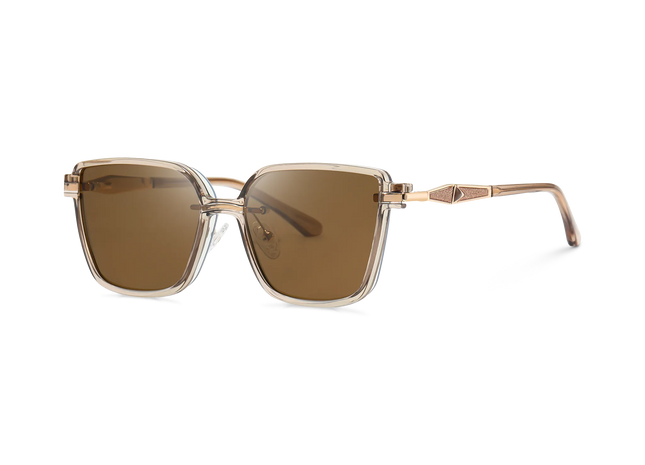 Eydology Gold + Champagne / Polarized Brown Lens Clip on Sunglasses 2