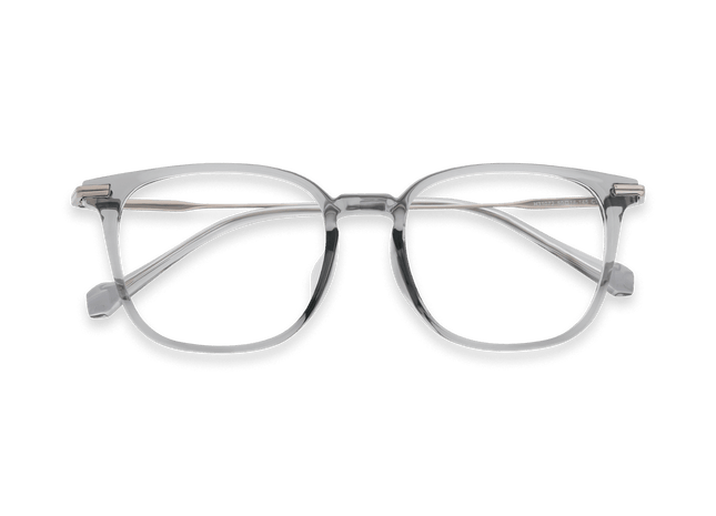 Eydology Gustavo Clear Grey/Light Gun Glasses 1