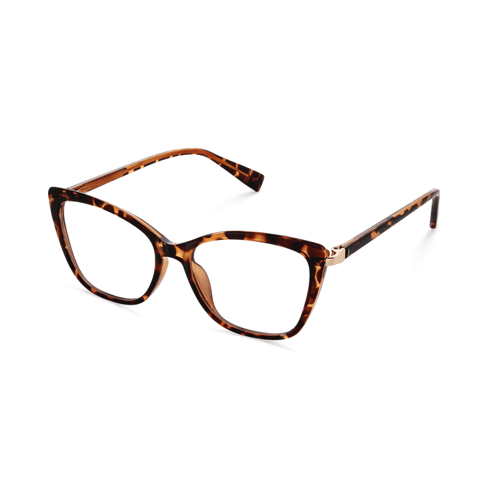Eydology Jaziel Tortoise Glasses 4