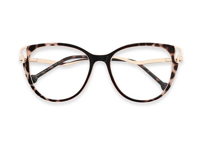 Eydology Journee Gold/Tortoise Glasses 1
