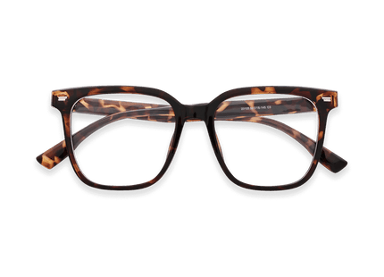 Eydology Kayson Tortoise Glasses 1