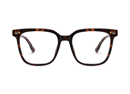 Eydology Kayson Tortoise Glasses 2