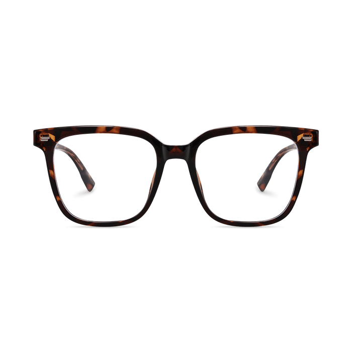 Eydology Kayson Tortoise Glasses 2