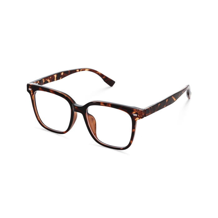 Eydology Kayson Tortoise Glasses 3