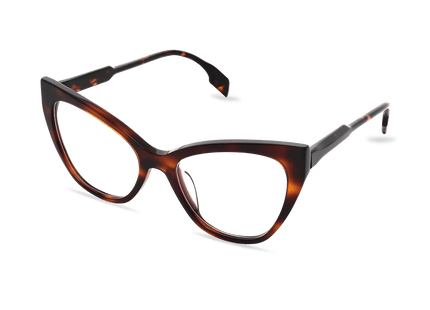 Eydology Kensley Dark Tortoise Glasses 2