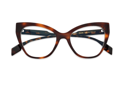 Eydology Kensley Dark Tortoise Glasses 3