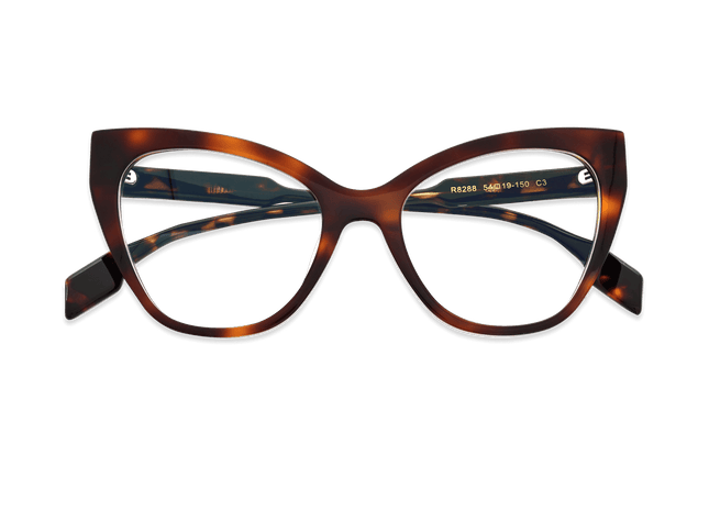 Eydology Kensley Dark Tortoise Glasses 3