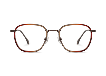 Eydology Leighton Trans Orange/Brown Glasses 2
