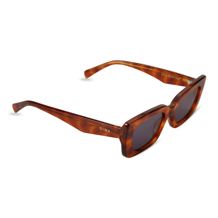 Eydology Lola Amber Tortoise Frame Dark Blue Lens Glasses 2