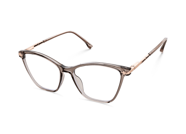 Eydology Louise Transparent Dust Purple Glasses 3