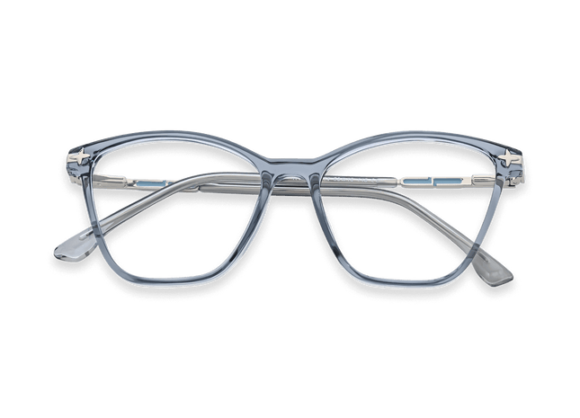 Eydology Louise Transparent Navy Blue Glasses 1
