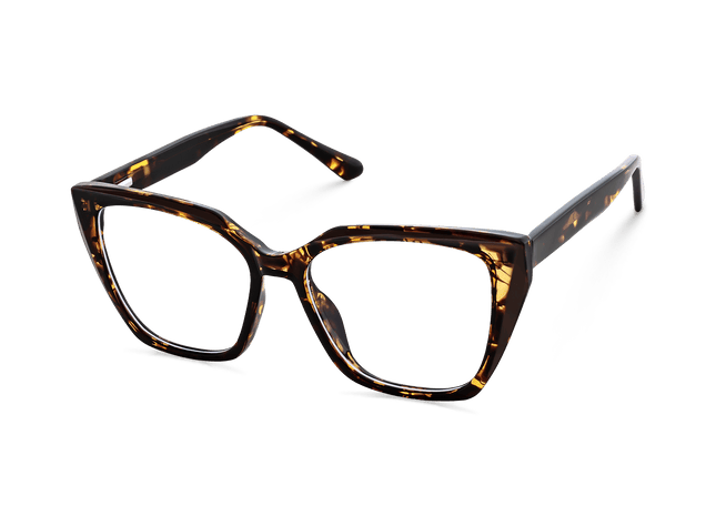 Eydology Makayla Tortoise Eyeglasses 5
