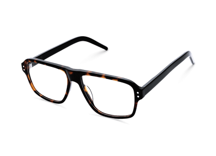 Eydology Micah Tortoise Eyewear 2