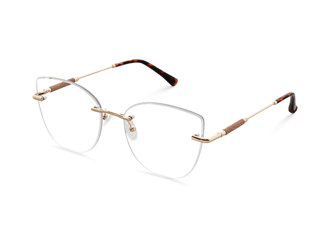 Eydology Monroe Gold/Tortoise Glasses 3