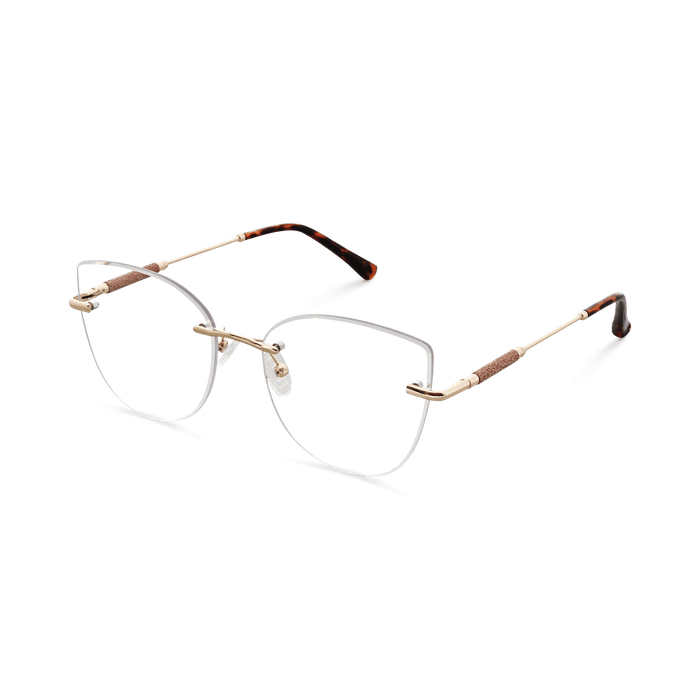 Eydology Monroe Gold/Tortoise Glasses 3