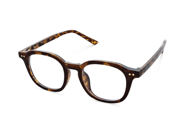 Eydology Quentin Tortoise Glasses 3