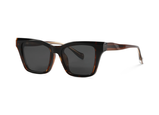 Eydology Ramsey Tortoise/Polarized Grey Lens Clip on Sunglasses 2