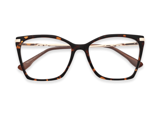 Eydology Remington Tortoise Glasses 1