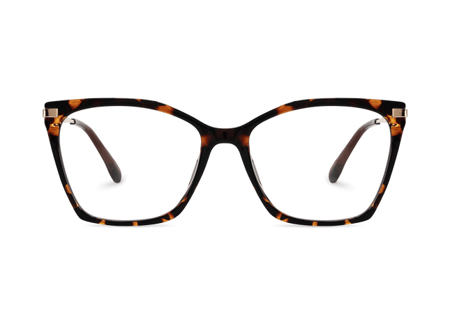 Eydology Remington Tortoise Glasses 2