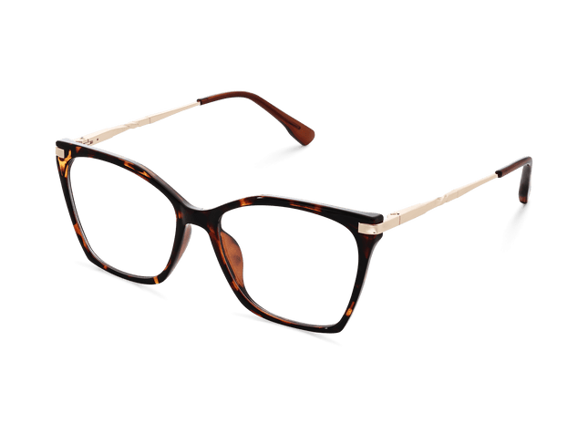 Eydology Remington Tortoise Glasses 5