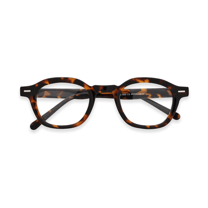 Eydology Rory Tortoise Glasses 1