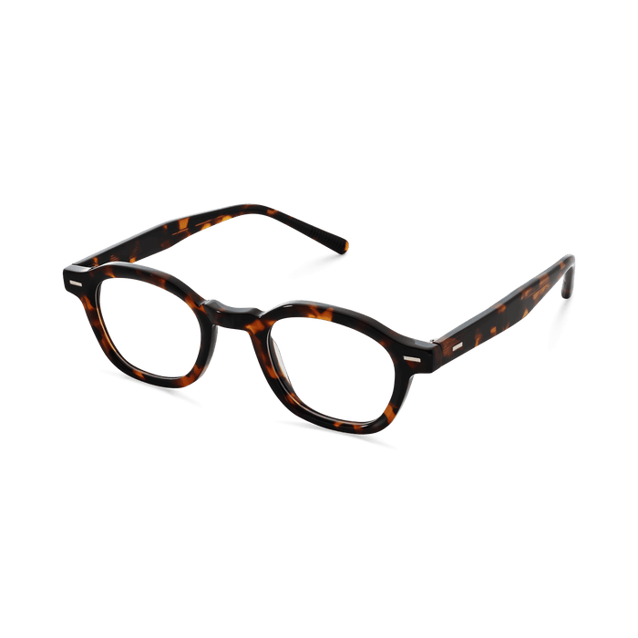 Eydology Rory Tortoise Glasses 5