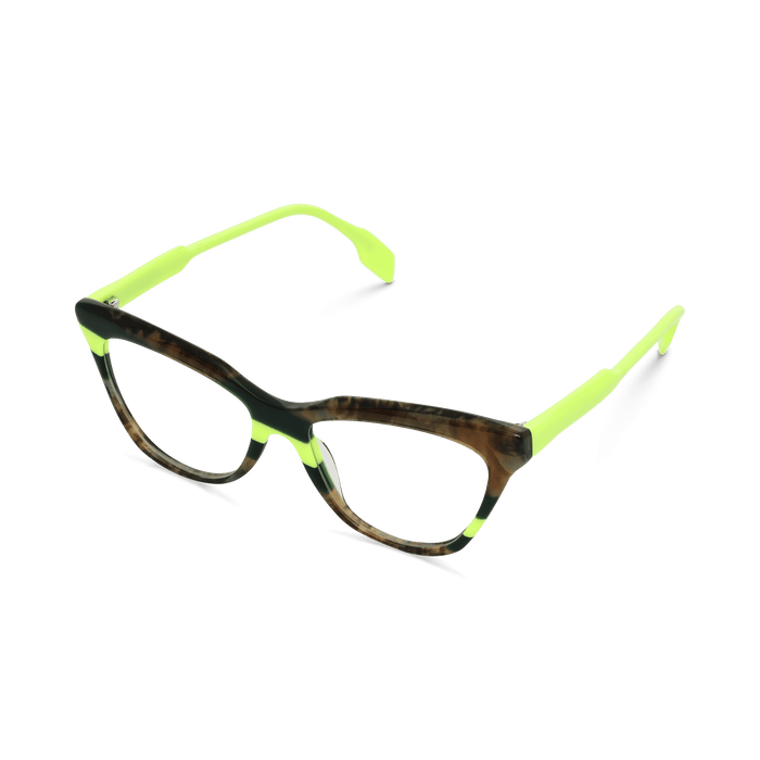 Eydology Stanley Brown Tortoise Glasses 2