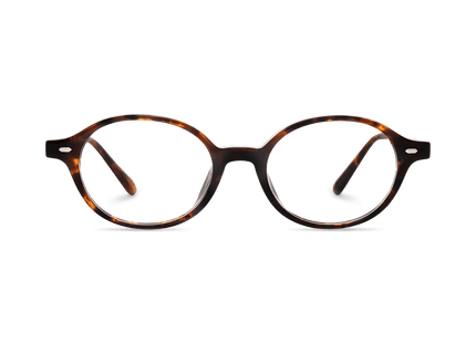 Eydology Sylvia Dark Tortoise Glasses 1
