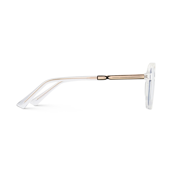 Eydology Wallac Clear Double Bridge Eyeglasses 4