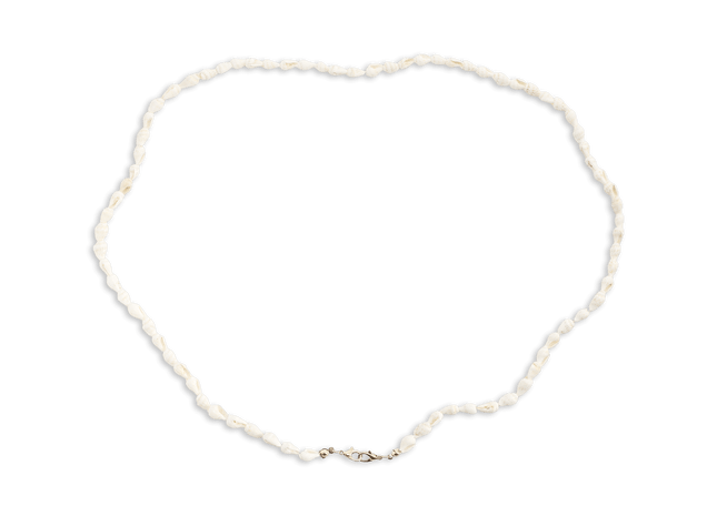 Eydology White Shell Eyeglasses Chains 2