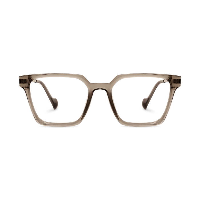 Eydology Winston Clear Brown/Gun Glasses 2