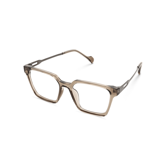 Eydology Winston Clear Brown/Gun Glasses 3