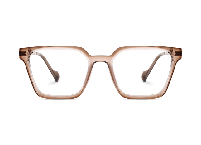 Eydology Winston Clear Brown Purple Pink/Silver Glasses 2