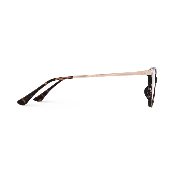  Paxton Pink Tortoise Round Glasses 4