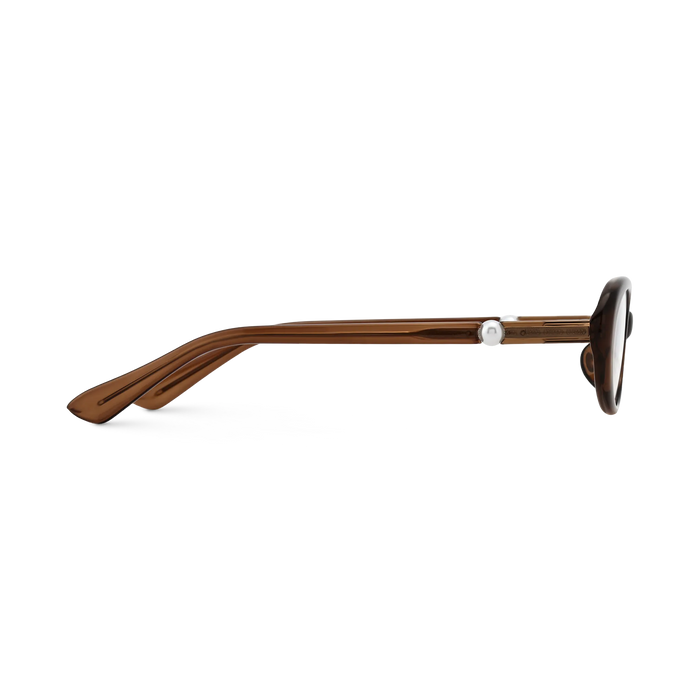 Rose Dark Brown Round Glasses 4