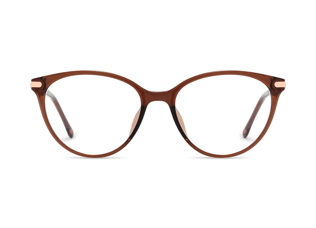Saylor Dark Brown Round Glasses 2