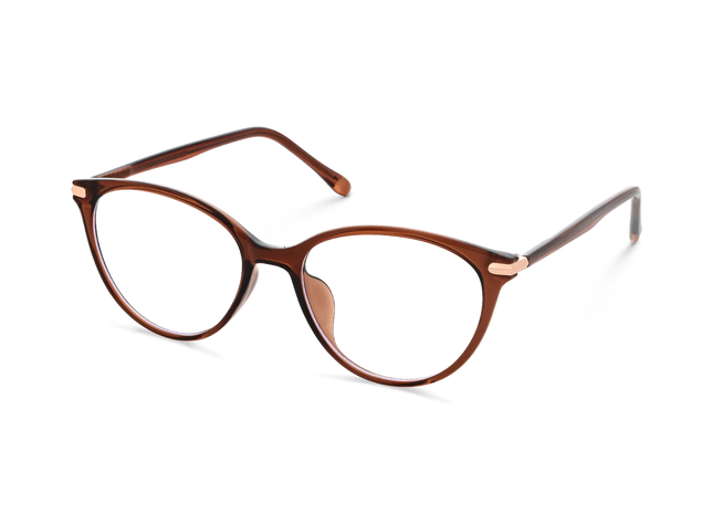 Saylor Dark Brown Round Glasses 3