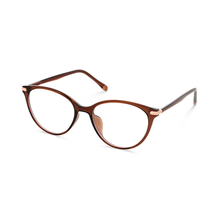 Saylor Dark Brown Round Glasses 3