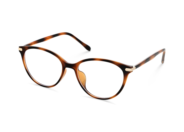 Saylor Havana Round Glasses 3