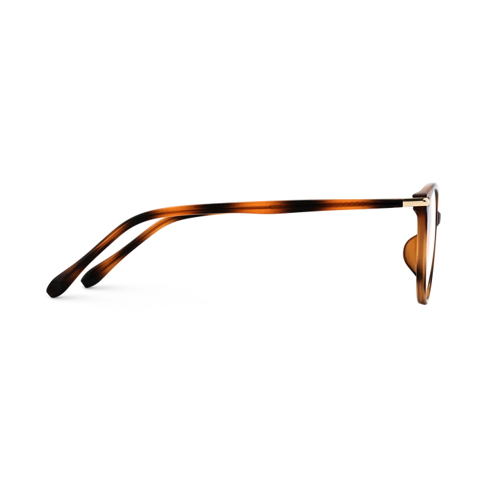 Saylor Havana Round Glasses 4