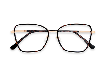 Zayden Dark Tortoise Square Glasses 1