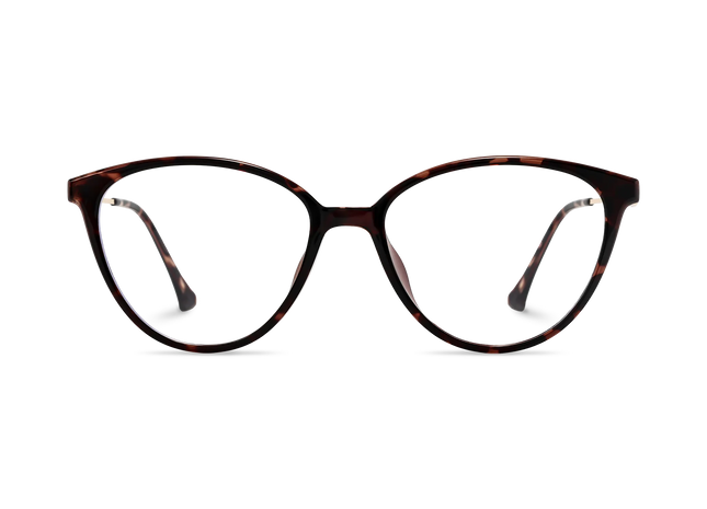 Zayne Dark Tortoise Round Glasses 2