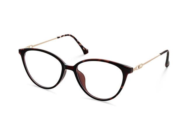 Zayne Dark Tortoise Round Glasses 3