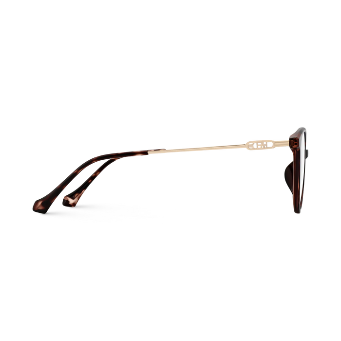 Zayne Dark Tortoise Round Glasses 4