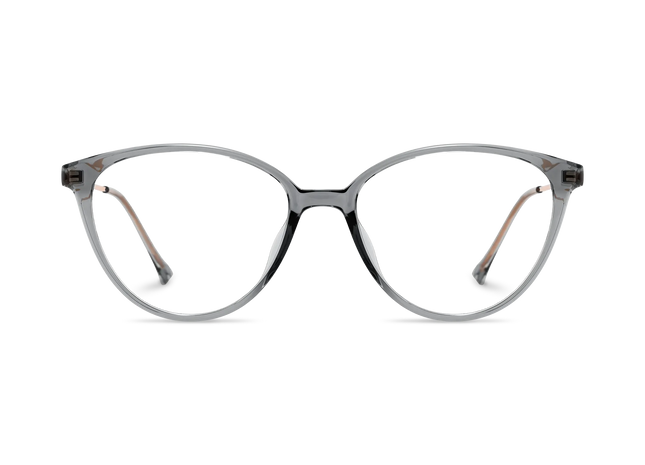 Zayne Grey Round Glasses 2