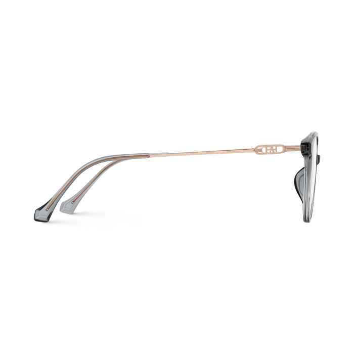 Zayne Grey Round Glasses 4