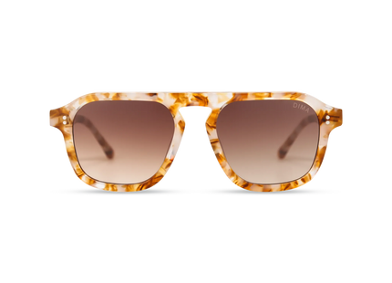 dima sunglass cameo brown pearl frame brown gradient lens 1