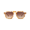 dima sunglass cameo brown pearl frame brown gradient lens 1